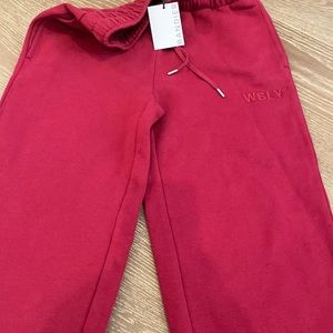 Bandier ankle zip sweatpants beetroot color